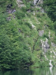 P1109494